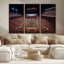 Texas Stadium Night Game Wall Art Canvas Print – Vibrant