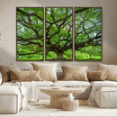 Oak Tree Wall Art Print, Forest Canvas Wall Art for Home and by MyGreatCanvas | Canvas Wall Art Prints | Photo Prints & Wall Decor
