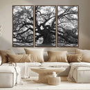 Ancient Oak Wall Art Canvas Print – Gnarled Tree Twisted by MyGreatCanvas | Canvas Wall Art Prints | Photo Prints & Wall Decor
