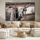 Texas Longhorn Wall Art Canvas Print – Framed Spotted Bull