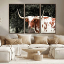 Texas Longhorn Wall Art Canvas Print – Framed Spotted Bull