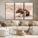 Texas Longhorn Wall Art – Framed Resting Bull Canvas by MyGreatCanvas | Canvas Wall Art Prints | Photo Prints & Wall Decor
