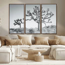 Joshua Tree Wall Art Canvas Print – Framed Black White