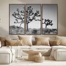 Joshua Tree Wall Art Canvas Print – Framed Monochrome Desert