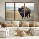 Bison Wall Art Canvas Print – Framed Buffalo American Bison