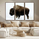 Bison Wall Art Canvas Print – Framed Western Wildlife by MyGreatCanvas | Canvas Wall Art Prints | Photo Prints & Wall Decor
