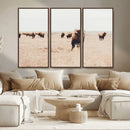 Bison Herd Wall Art Canvas Print – Framed Western Prairie by MyGreatCanvas | Canvas Wall Art Prints | Photo Prints & Wall Decor