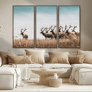 Elk Herd Wall Art Canvas Print – Framed Wildlife Photography