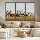 Elk Herd Wall Art Canvas Print – Framed Wildlife Photography