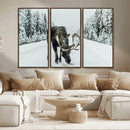 Moose Snow Wall Art Canvas Print – Framed Winter Wildlife