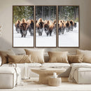 American Bison Herd Wall Art Canvas Print – Powerful Winter by MyGreatCanvas | Canvas Wall Art Prints | Photo Prints & Wall Decor