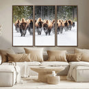 Bison Herd Scene Wall Art Canvas Print – Framed Western by MyGreatCanvas | Canvas Wall Art Prints | Photo Prints & Wall Decor