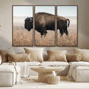 American Bison Wall Art Canvas Print – Majestic Buffalo
