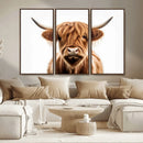 Scottish Highland Cow Canvas Print, Framed Highland Cow