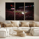William Brice Stadium Wall Art Print – Baseball Game Room by MyGreatCanvas | Canvas Wall Art Prints | Photo Prints & Wall Decor