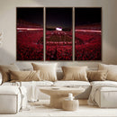 Dooley Stadium Wall Art, Sports Arena Canvas Print, Dooley by MyGreatCanvas | Canvas Wall Art Prints | Photo Prints & Wall Decor