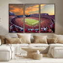 Dooley Stadium Wall Art, Sports Arena Canvas Print, Dooley by MyGreatCanvas | Canvas Wall Art Prints | Photo Prints & Wall Decor