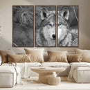 Wild Wolf Blue Eye Wall Art Canvas Print