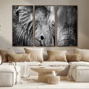 Wild Old Elephant Wall Art Canvas Print