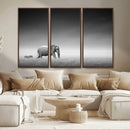 Elephand and Zebra Wall Art Canvas Print, Modern Artwork