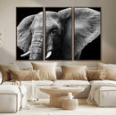 Big Elephant Close Up Wall Art Canvas Print