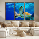 Sea Turtle Wall Art Canvas Print, Sea life in the Ocean Wall