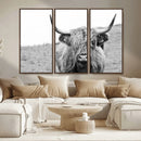 Newfoundland Cow Art Wall Art, Black White Cow Art Wall Art