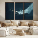 Swimmer Wall Art Canvas Print