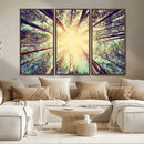 Tree and Sunshine Canvas Print