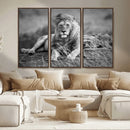 King Forest Lion Wall Art Canvas Print – Framed Majestic by MyGreatCanvas | Canvas Wall Art Prints | Photo Prints & Wall Decor