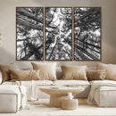 Trees Contemporary Art Canvas Print by MyGreatCanvas | Canvas Wall Art Prints | Photo Prints & Wall Decor