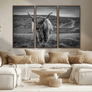 Fluffy Cattle Wall Art Print, Highland Cow Canvas, Framed by MyGreatCanvas | Canvas Wall Art Prints | Photo Prints & Wall Decor