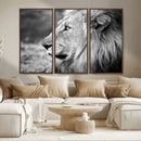 African Lion Wall Art Canvas Print – Majestic Wildlife