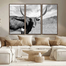 Longhorn Wall Art Canvas Print, Framed Ranch Wall Art Canvas by MyGreatCanvas | Canvas Wall Art Prints | Photo Prints & Wall Decor