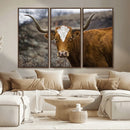 Texas Longhorn Canvas Wall Art - Longhorn Steer Canvas Wall by MyGreatCanvas | Canvas Wall Art Prints | Photo Prints & Wall Decor