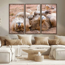 Lion Pair Wall Art Canvas Print – Framed Wildlife Scene with