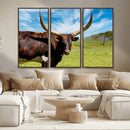 Longhorn and Cow Wall Art, Country Cow Wall Decor Canvas by MyGreatCanvas | Canvas Wall Art Prints | Photo Prints & Wall Decor