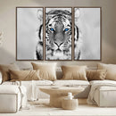 Tiger Canvas Artwork Wall Art Print