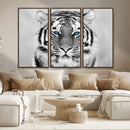 Black and White Tiger Wall Art Animal Canvas Print