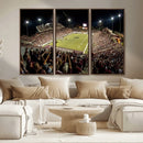 Washington-Grizzly Stadium Canvas Wall Art – Exciting Game