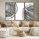 Abstract Large Tree Rings – Minimalist Black and White Wood