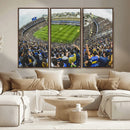 Boca Juniors Soccer Team Print Wall Art - Buenos Aires