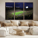 Michigan Wolverines Football Canvas Wall Decor, Football