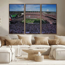 South Carolina Gamecocks Football Team Print - Columbia