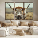 Texas Cow Longhorn Wall Art Canvas Print for Farm House Wall