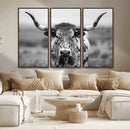 Texas Cow Longhorn Wall Art Canvas Print for Farm House Wall