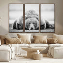 Resting Grizzly Bear Wall Art Canvas Print – Majestic Lazy by MyGreatCanvas | Canvas Wall Art Prints | Photo Prints & Wall Decor