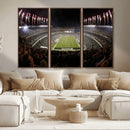 Eagles Field Stadium Wall Art - Philadelphia Eagles Football