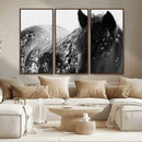 Black Horse in Snow Canvas Print | Winter Horse Wall Art |