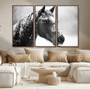 Horse Canvas Print - Winter Horse Snow Wall Art Canvas Print by MyGreatCanvas | Canvas Wall Art Prints | Photo Prints & Wall Decor